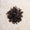 Oolong Caresse du fujian - 50 g Oolong Caresse du fujian - 50 g